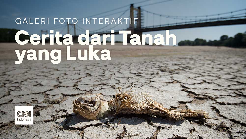 Longform - Cerita dari Tanah yang Luka