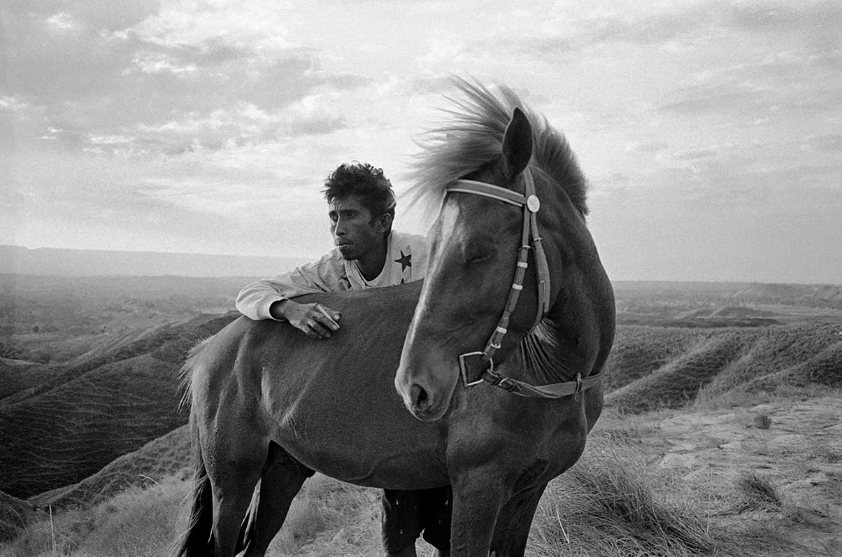 Sang Pejantan dari Timur Sumba