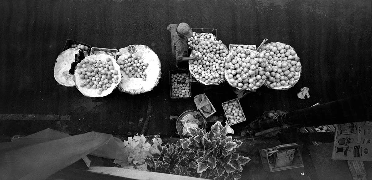 Pedagang Buah
